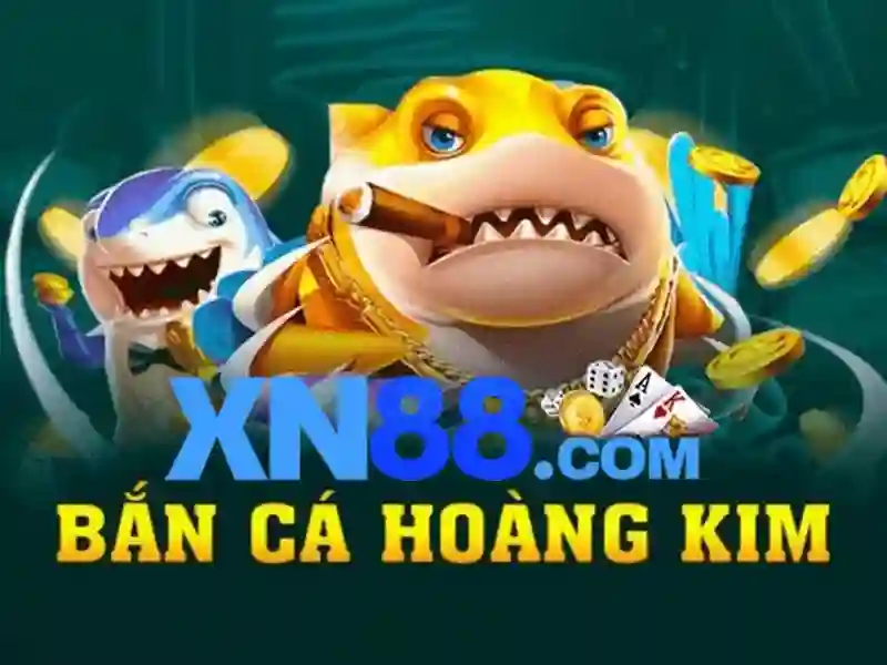An toàn và trách nhiệm khi chơi xn88