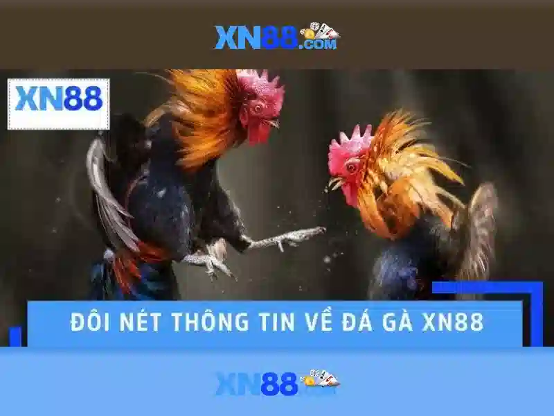 Giới thiệu về xn88