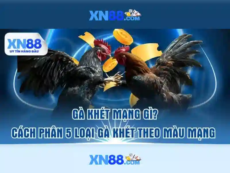 Việt Vị Trong Bóng Đá
