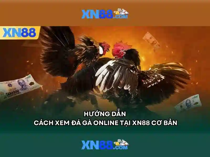 Việt Vị Trong Bóng Đá
