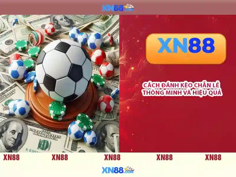 Cược thể thao trên xn88