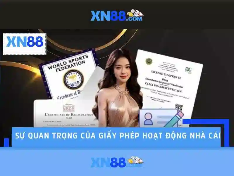 An toàn và trách nhiệm khi tham gia
