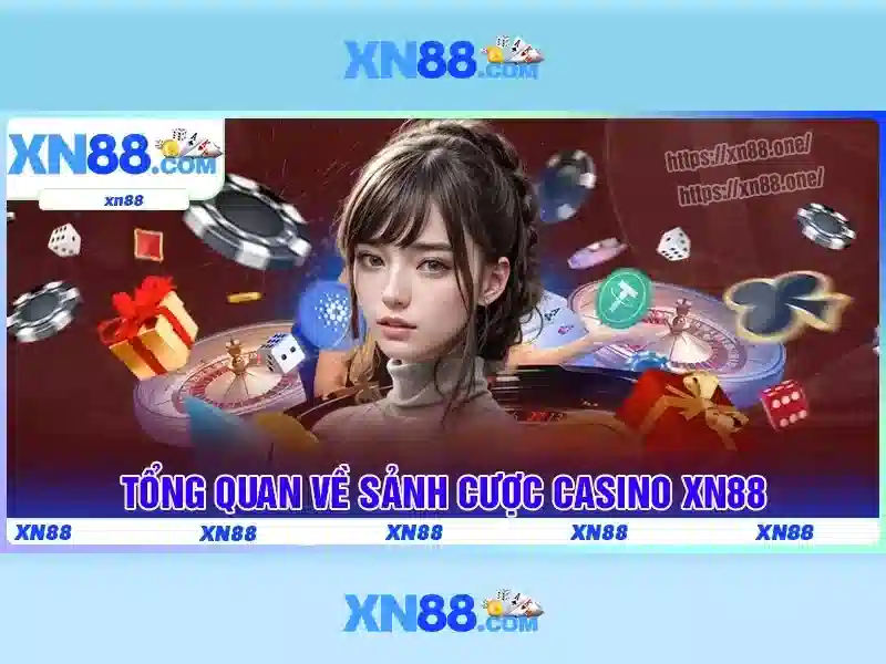 An toàn và hỗ trợ người dùng