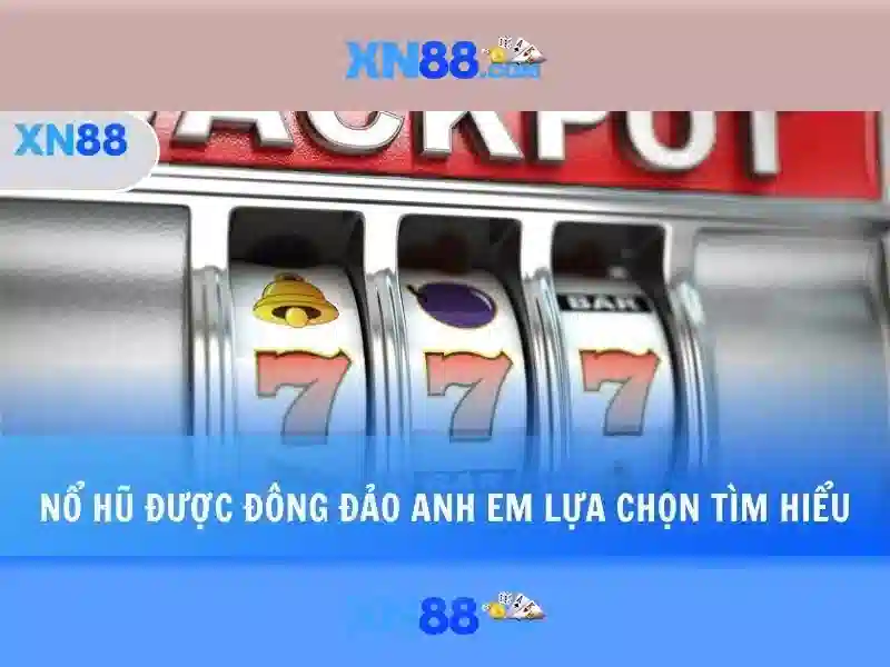 Kết luận và lời khuyên