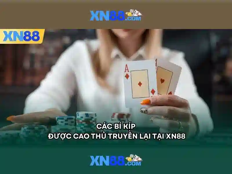 Giới thiệu về xn88