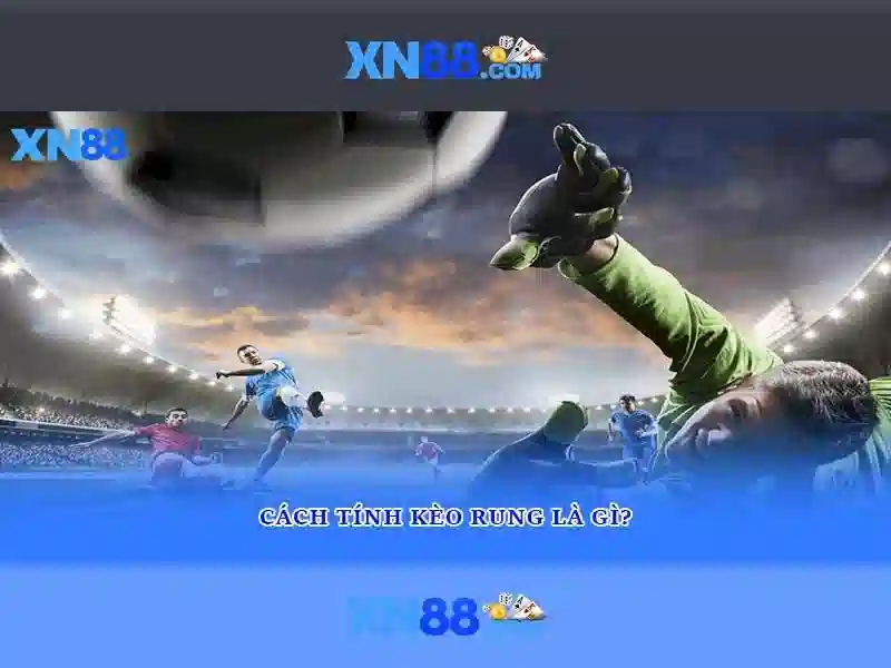Các dịch vụ nổi bật