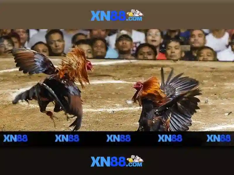 Hướng dẫn đăng ký và nạp tiền