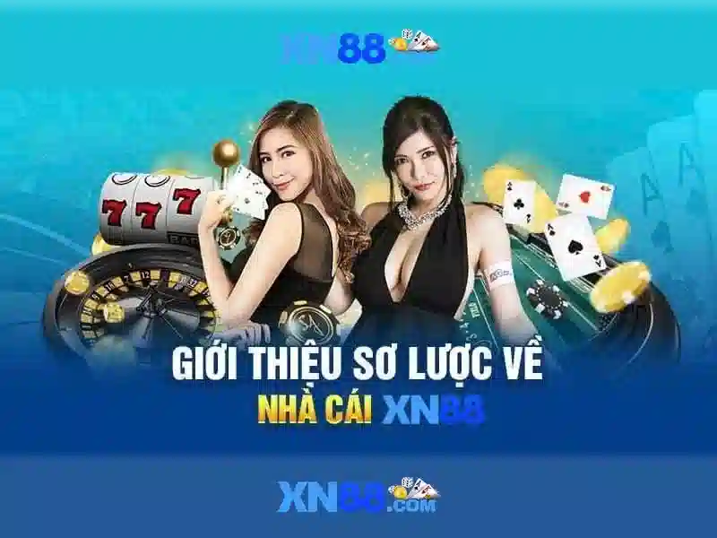 Chứng nhận và giấy phép sử dụng 