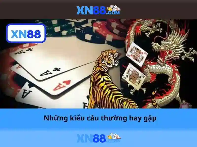 Giới thiệu về xn88