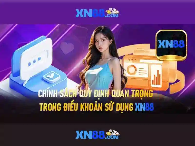 Nền tảng và chức năng