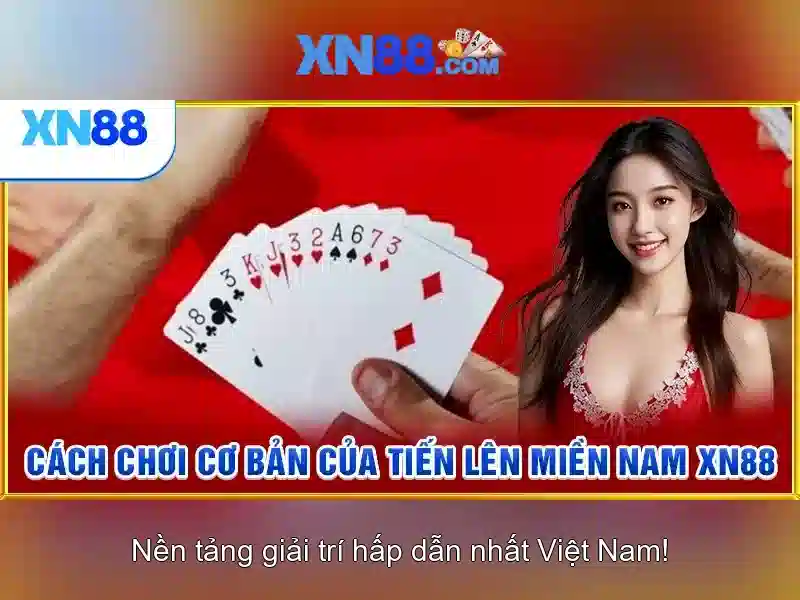 Giới thiệu về xn88