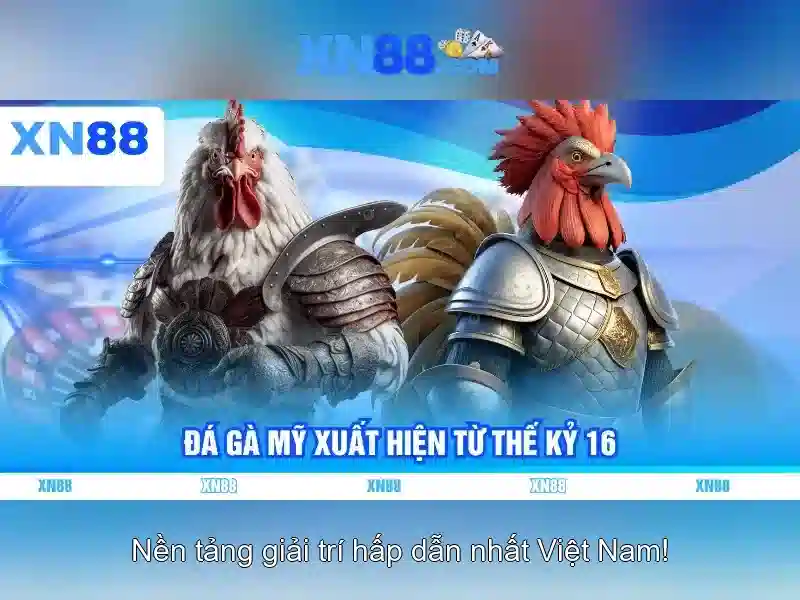 Toi-uu-trai-nghiem
