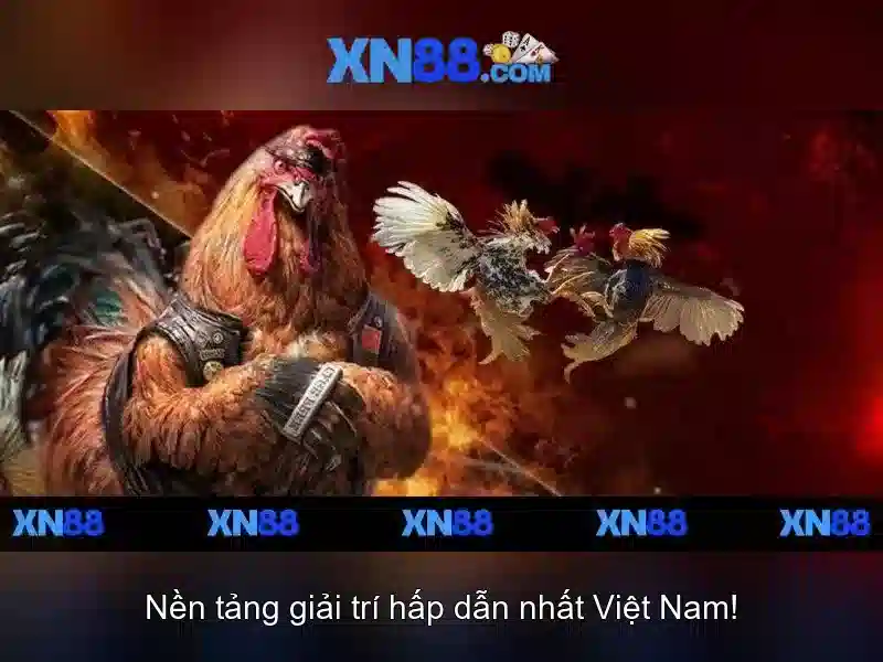 bonus_promotion