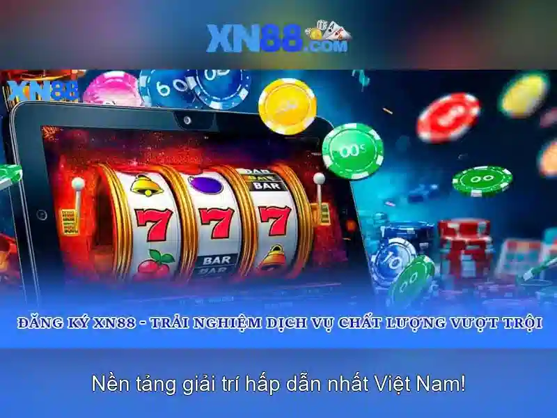 Hỗ trợ người dùng và liên hệ