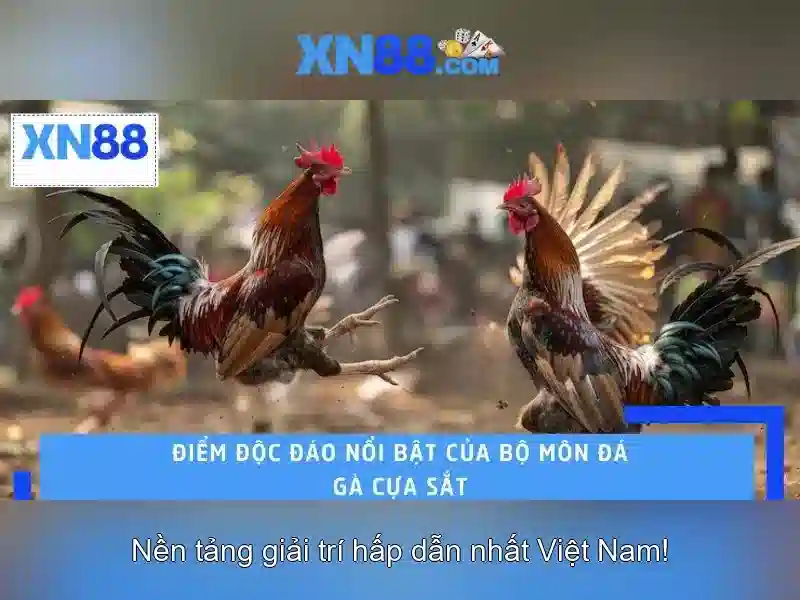 Giới thiệu về xn88