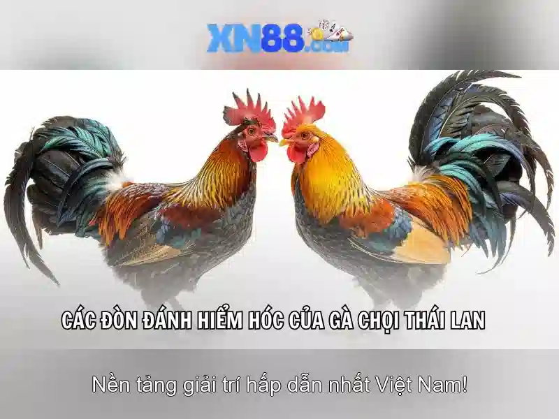 Việt Vị Trong Bóng Đá