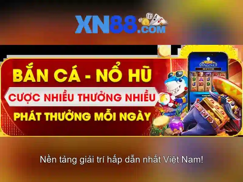 An toàn và quản lý rủi ro