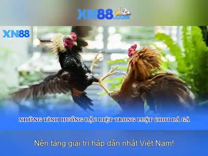 An toàn và bảo mật trên xn88