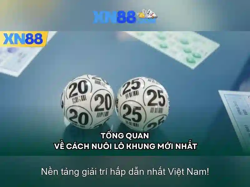 Giới thiệu về xn88
