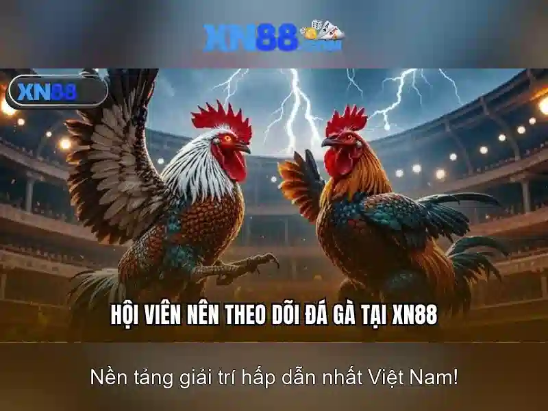 Việt Vị Trong Bóng Đá