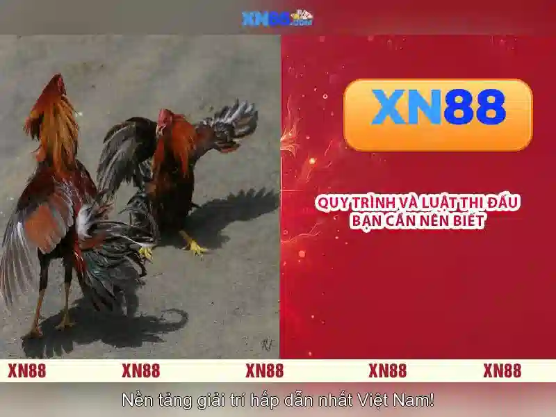 Việt Vị Trong Bóng Đá