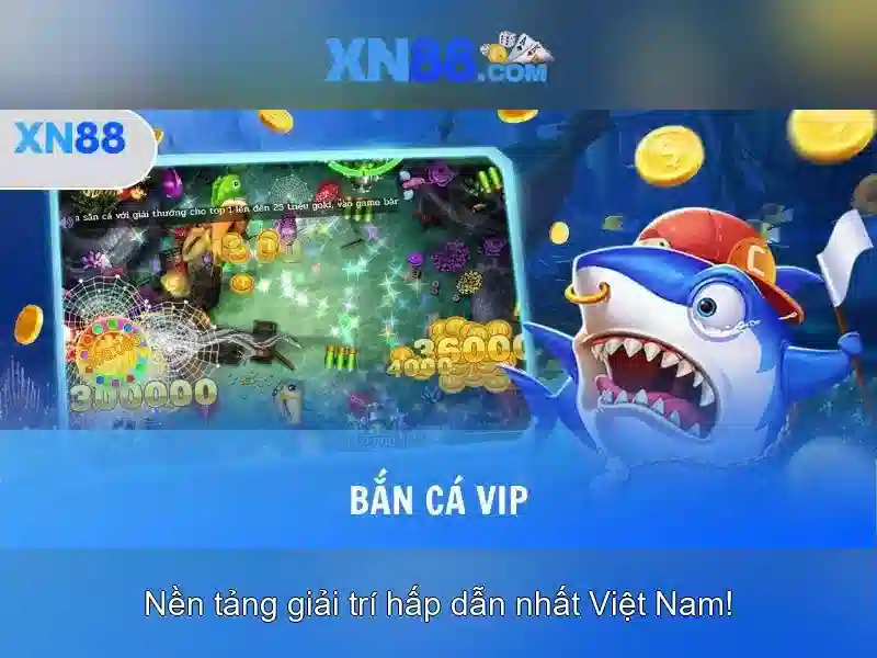 Lĩnh vực hoạt động và sứ mệnh