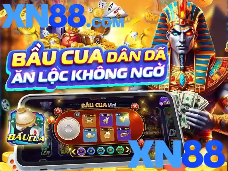 Giới thiệu về xn88